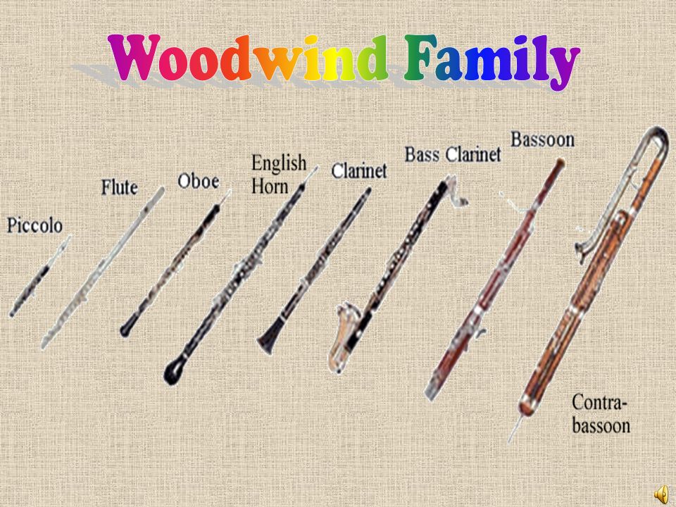 Woodwind family deals instruments